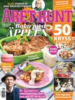 Året Runt SE